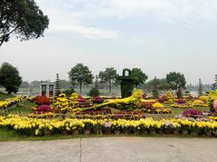 -洪湖生态旅游区