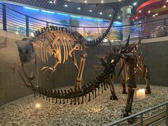 -国家自然博物馆