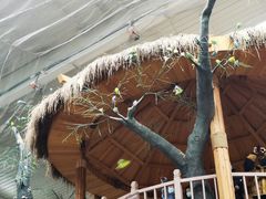 -南宫五洲植物乐园