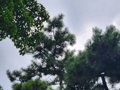 -拙政园