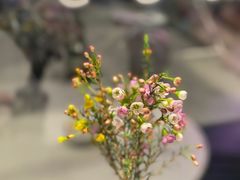 -gaga(深圳福田星河COCO Park店)