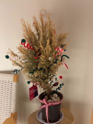 -AGE LOCK 锁龄美肌