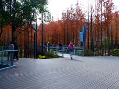 -梅峰山地公园