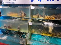 -胖姐渔村(中源大道店)