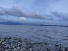 -深圳湾公园(南山区)