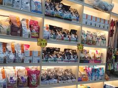 -宠颐生动物医院·猫科·心脏科(海口分院)