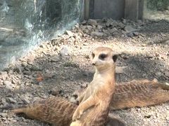 -水上乐园·欢乐世界