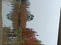 -白鹭湾湿地公园