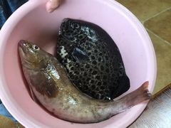 -阿军排档·烧烤