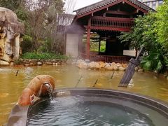 -凤翔首邑温泉度假村