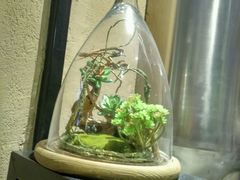 -绿茵阁(体育西分店)