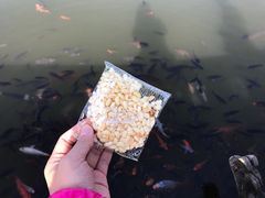 -茂陵博物馆