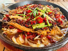 -老板恋上鱼(恒隆广场店)