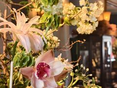 -夏朵花园(复兴西路店)