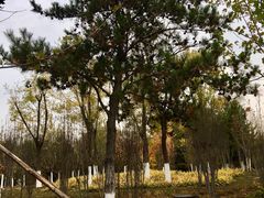 -中家鑫园温泉酒店鑫悦汤泉