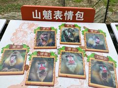 -常州淹城野生动物世界