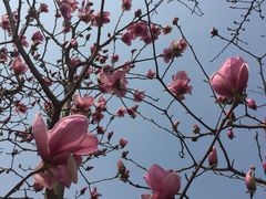 -白塘生态植物园