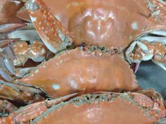 -晓伟海鲜家常菜