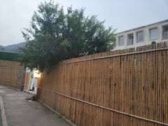 -侘山民宿(杭州西湖龙坞店)