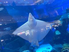 -成都浩海立方海洋公园