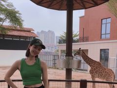 -灵玲国际马戏城