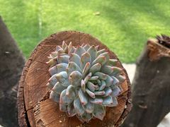 -A thing COFFEE(下梅林店)