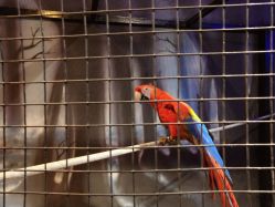 -酷嗒动物文化乐园(cutezoo西溪乐天城店)