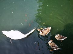 -长白岛森林公园