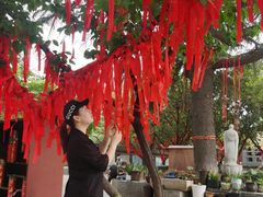 -西安青龙寺遗址景区