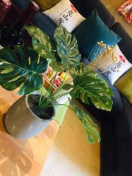 -觅屿日式脱毛美肤