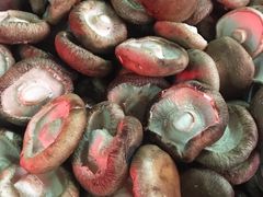 -海吉星国际农产品物流管理有限公司