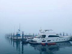 -渡海小渔村.老辈日照菜