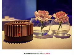 -眉州东坡(清华园店)