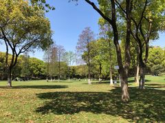 -新洲生态园