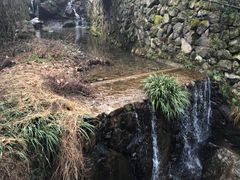 -藏龙百瀑风景区