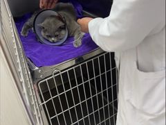 -宠颐生宠物医院·犬猫全科·皮肤科(商业街店)