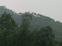-重庆雨台山风景区