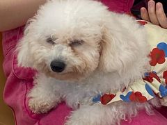 -怪兽屋·羊驼·猫咖·狗咖(俊华广场店)