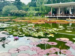 -国家植物园南园