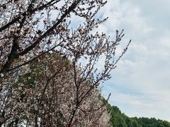 -美兰湖景区