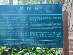 -亚龙湾热带天堂森林公园