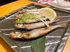 多春鱼-元通寿司(大朗店)