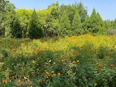 -永定河休闲森林公园