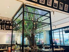 大堂-大树餐厅(万达创始店)