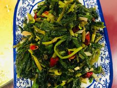 -照金特色农家乐