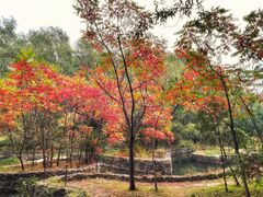 -龙门涧景区