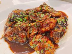 红烧鮰鱼-宏玲餐厅(四川南路店)