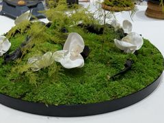 -同庆楼(金宝汇店)