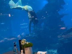 -涛·海底餐厅·美人鱼·自助餐·海底隧道(三亚海棠湾洲际度假酒店)