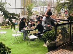 -三圣花乡旅游区